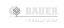 Bauer Logo Transparent